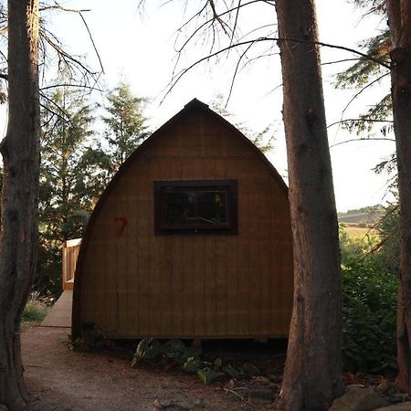 Hamilton Golf Lodge Bagian luar foto
