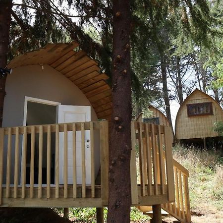 Hamilton Golf Lodge Bagian luar foto