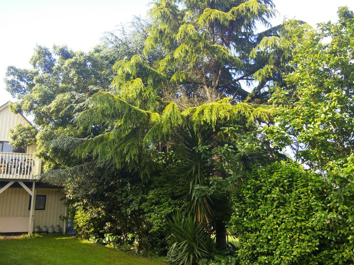 Hamilton Golf Lodge Bagian luar foto